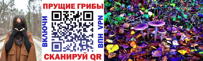 Галлюциногенные грибы Cubensis  Славгород 